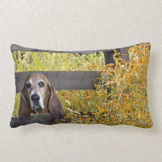 Basset hound lumbar cushion
