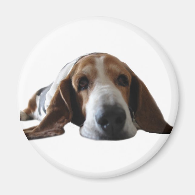 Basset Hound lying down Magnet (Front)