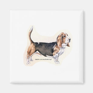 Basset Hound magnet