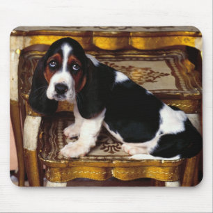 basset hound mouse pad