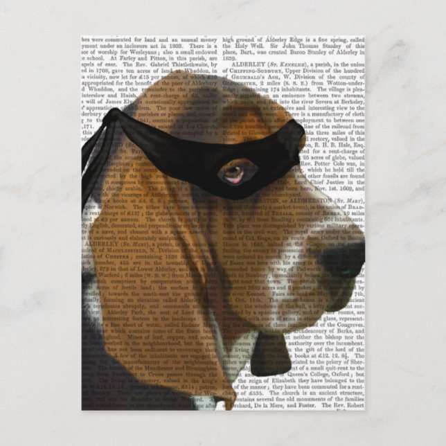 Basset Hound Ninja Postcard (Front)