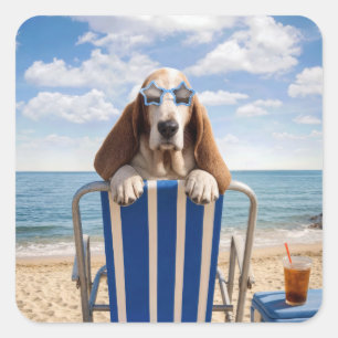 Basset Hound on Beach Chair Square Sticker