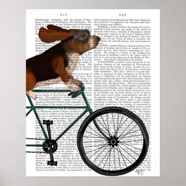 Basset Hound on Bicycle Poster (Front)