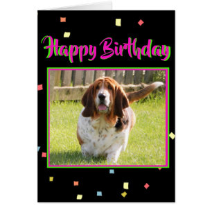 Basset Hound On Cute Birthday Card W/Cake