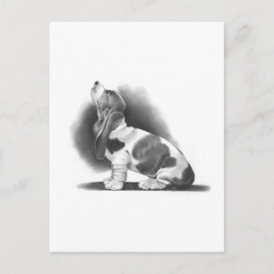 BASSET HOUND: PENCIL REALISM ART POSTCARD