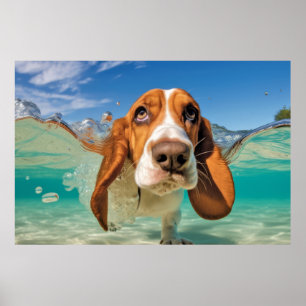 Basset Hound Pet Dog Animal Fun Playing  Poster
