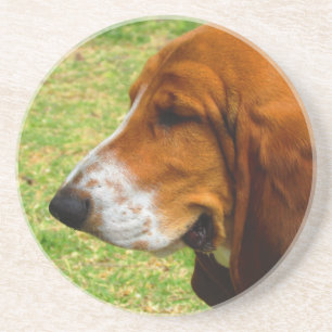 basset-hound.png coaster