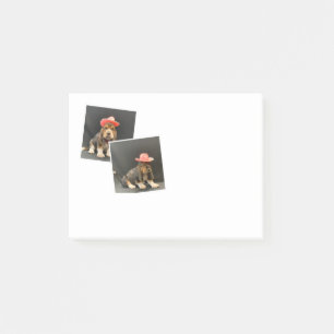 Basset hound post it notes
