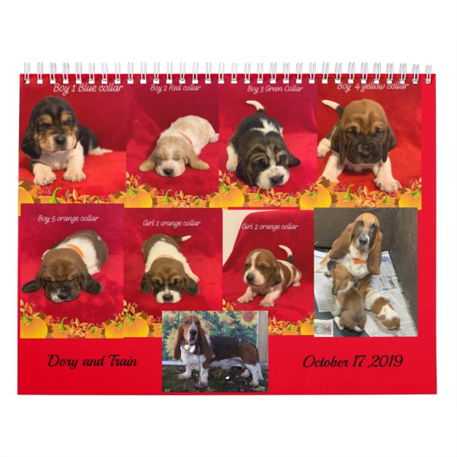 Basset hound puppies calendar (Cover)