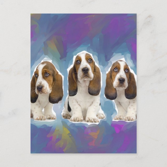 Basset Hound Puppies Postcard (Front)