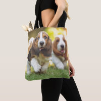 Basset Hound Puppies Running
