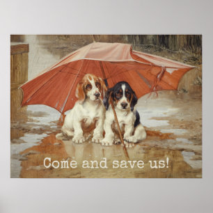 Basset hound puppies under umbrella CC0867 Trood Poster