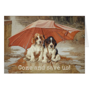 Basset hound puppies under umbrella Trood