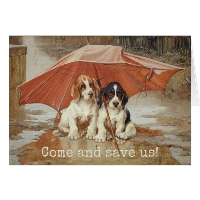 Basset hound puppies under umbrella Trood (Front Horizontal)