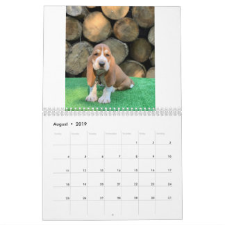 Basset hound puppy calendar