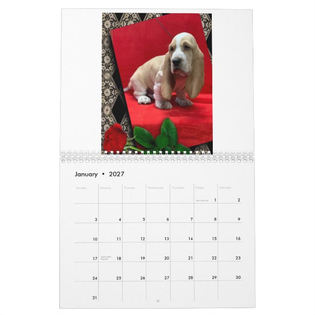 Basset hound puppy calendar (Jan 2027)