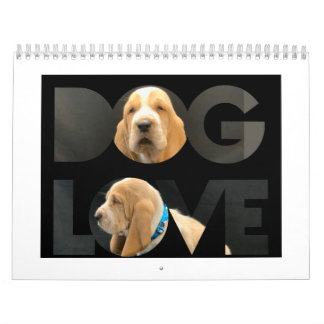 Basset hound puppy calendar