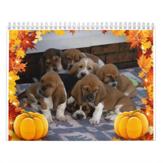 Basset hound puppy calendar