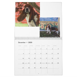 Basset hound puppy calendar