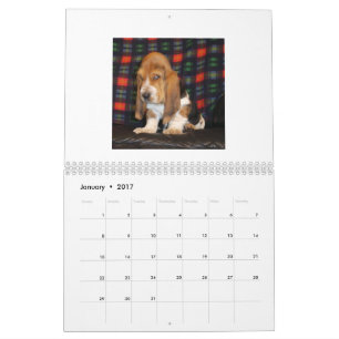 Basset Hound puppy calendar