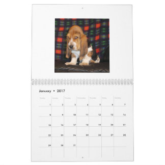 Basset Hound puppy calendar