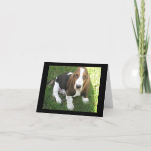basset hound puppy dog blank note card