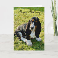 Basset Hound Puppy Dog Happy Birthday