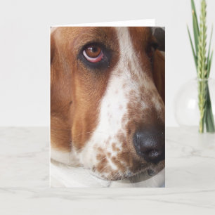 Basset Hound Puppy Greeting Card
