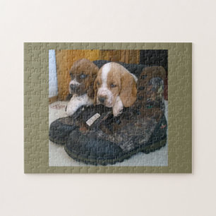 Basset hound puppy puzzle