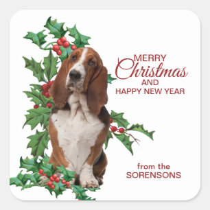 Basset Hound Red Berry Holly Christmas Square Sticker