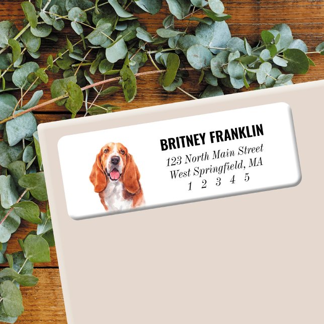 Basset Hound Return Address Labels (Creator Uploaded)