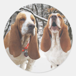 Basset Hound Snowy Woods Stickers