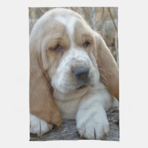 BaSSeT HoUND Tea Towel