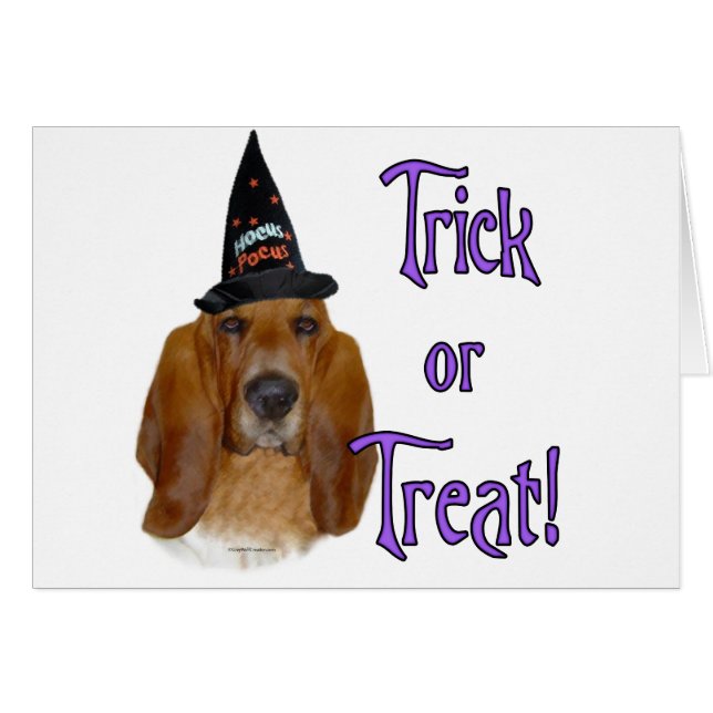 Basset Hound Trick (Front Horizontal)