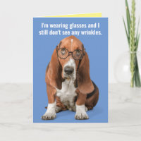 Basset Hound Wearing Glasses, Sees No Wrinkles