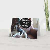 BASSET HOUND-YOU/ONLY YOU ARE ON MY MIND