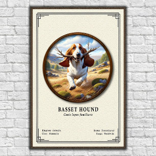 Basset Hound Zoology Series Poster