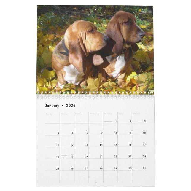 Basset Hounds 2012 Calendar (Jan 2026)