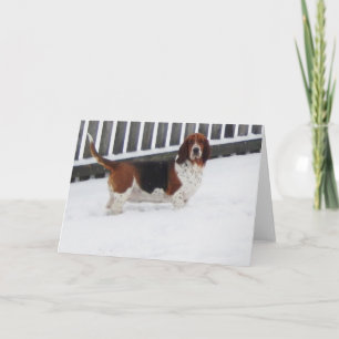 "Basset Hounds in the Wild" series greeting card
