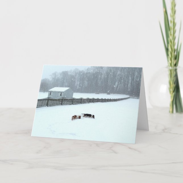 "Basset Hounds in the Wilds" series greeting cards (Front)