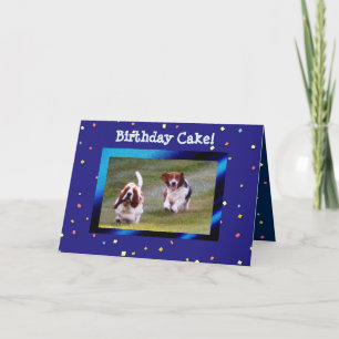 Basset Hounds on Funny Birthday Card w/Cake