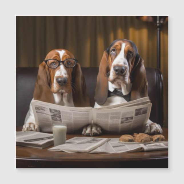 Basset hounds reading the newspaper (Front)