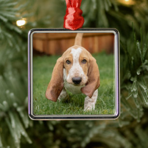 Basset Houng Puppy Walking Metal Ornament