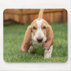 Basset Houng Puppy Walking Mouse Pad