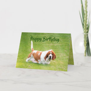 Basset & Lunch On Funny Birthday Card
