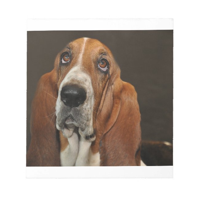 bassett hound 2 notepad (Front)