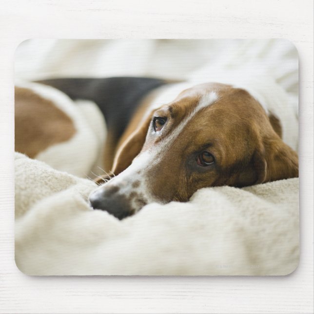 Bassett Hound Mouse Pad (Front)