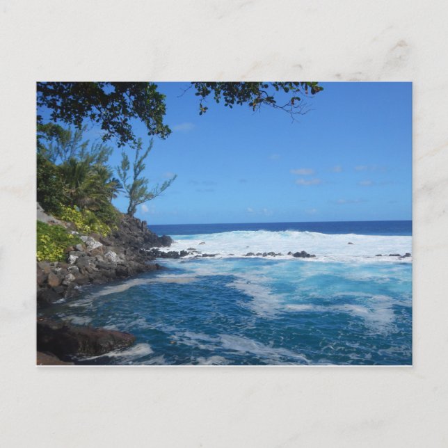 Bassin de Manapany (Ile de la Réunion) Postcard (Front)