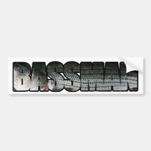 Bassman Bumper Sticker