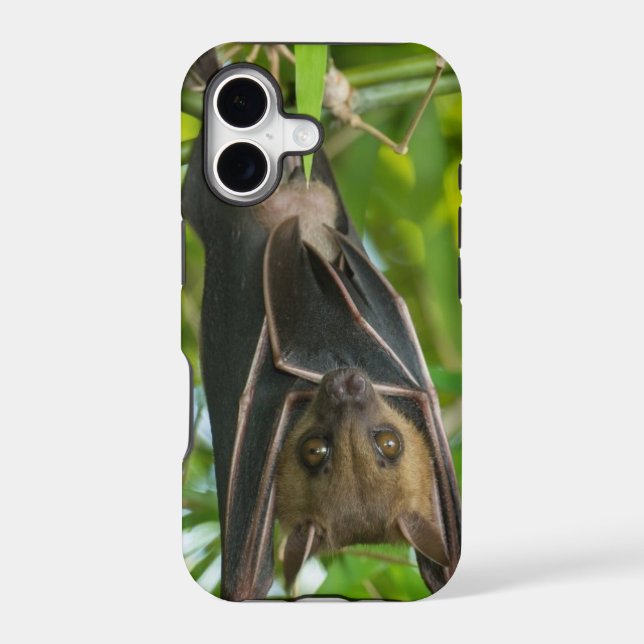 Bat (Back)